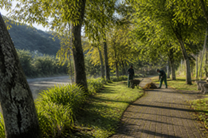 Parque ribeirinho de Pombalinho